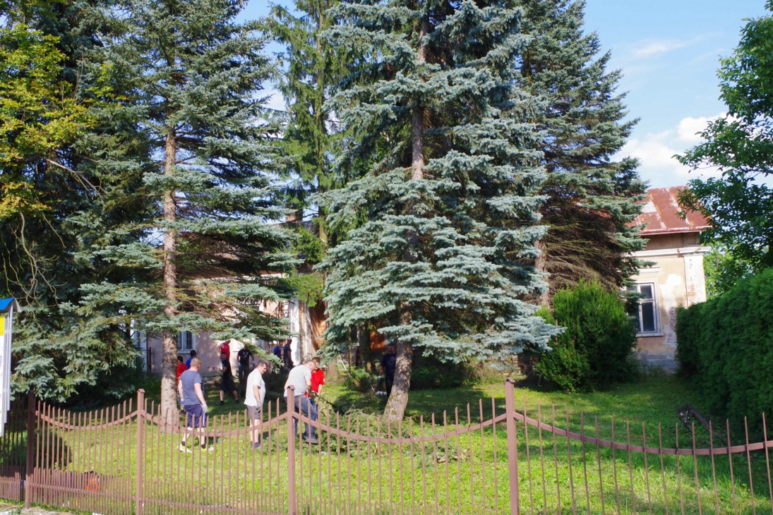 Remont Plebanii wycinka drzew 24.07.2017 (1)